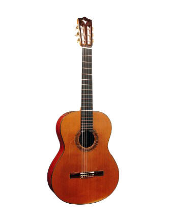 Guitare Flamenca Grand Concert