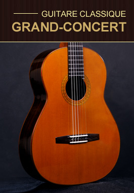 Guitares Laplane