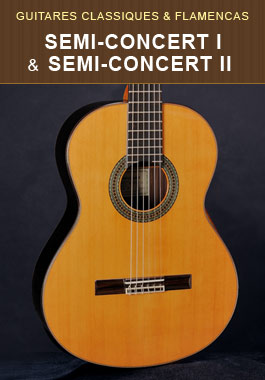 Guitares Semi-Concert