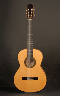 Studio IV Flamenca