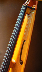 Violoncelle isocèle détail