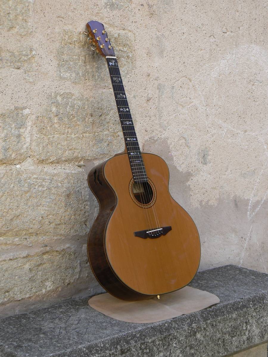 Guitare folk-concert vue d'ensemble