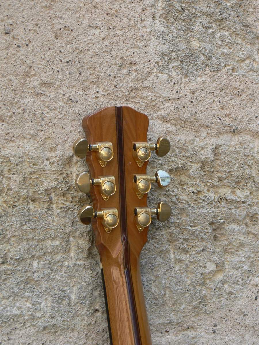 Tête guitare folk-concert